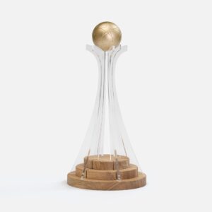 Кубок Everball c 3D-элементами